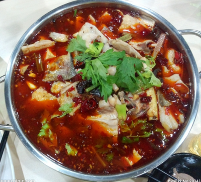 重庆冷锅鱼技术麻豆AV免费看网站