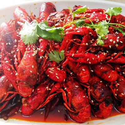 麻辣小龙虾技术麻豆AV免费看网站哪里有？麻豆一级片视频电影麻辣小龙虾技术麻豆AV免费看网站