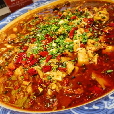 重庆来凤鱼麻豆AV免费看网站学校哪家好？深度解析麻豆一级片视频电影为何备受青睐